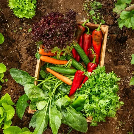 Kassandra Heritage (adults Only) 호텔 페티예