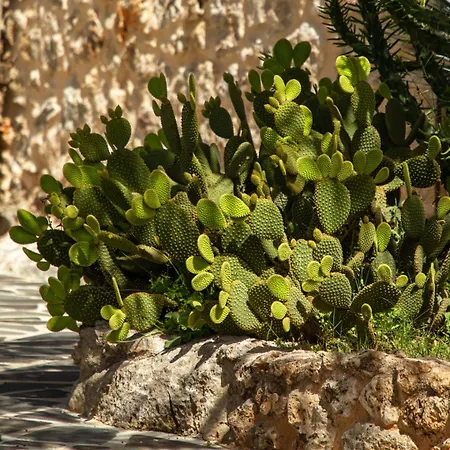 Kassandra Heritage (adults Only) Hotel