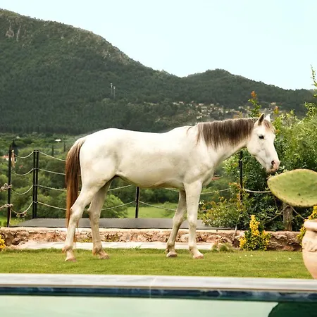 Kassandra Heritage (adults Only) Otel *