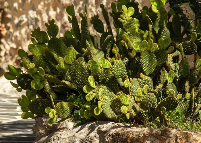 Kassandra Heritage (adults Only) Szálloda