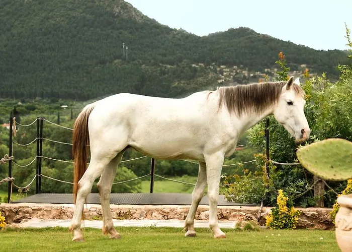 Kassandra Heritage (adults Only) Szálloda *