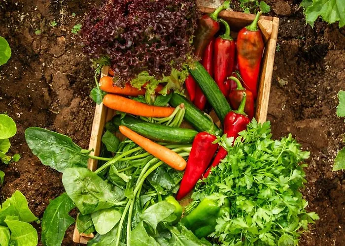 Kassandra Heritage (adults Only) Szálloda Fethiye